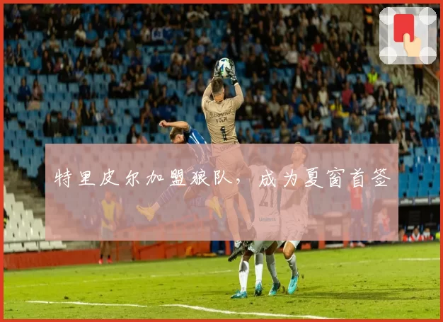 特里皮尔加盟狼队,成为夏窗首签