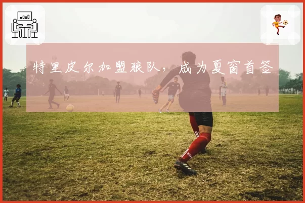 特里皮尔加盟狼队,成为夏窗首签